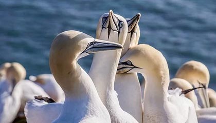 昭通最新的高价医保个人账户余额微信查询方法分享(昭通医保查询个人账户明细怎么查微信教程)