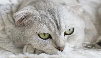 昭通最新的高价医保个人账户余额微信查询方法分享(昭通医保查询个人账户明细怎么查微信教程)